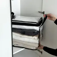 Прозора прямокутна сумка ORGANIZE для речей з ручками L 43x29x37 см (чорний)