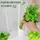 Oрганайзер-контейнер для хранения зелени Herb Saver,белый