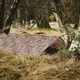 Тент Highlander Basha Shelter HMTC MA100-HC