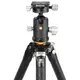 Штатив Vanguard VEO 5 304AB-250S (VEO 5 304AB-250S)