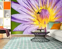 Фотообои текстурированные, виниловые Цветы, 250х380 см, fo01inV_fl102755