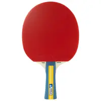 Набор для настольного тенниса Joola Team Master Pro 2 Bats 3 Balls (52001-1)