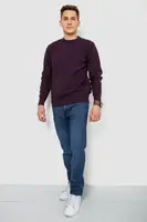 Вовняний чоловічий светр, колір сливовий, 247R22201