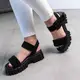 Женские сандалии Fashion Fern 3620 41 размер 26 см Черный