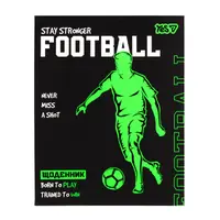Дневник школьный интегральный А5 YES Football Profi 911744 40 листов