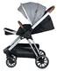 Коляска для дитини універсальна FreeON 3 в 1 Fantasy, grey - black