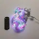 Умная гирлянда Smart штора 200 LED 3*2 м с управлением со смартфона, мультиколор W005SH