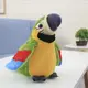Говорящий попугай повторюшка Зеленый Parrot Talking