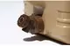 Каністра для води Mobi Garden QZ PRO 22л NX21674010 khaki