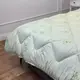 Одеяло евро стеганое зимнее из бамбукового волокна Leri Max 21530 195х210 см салатовое