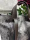 Коричневая/черные ручки - экокожа под рептилию - вместительная сумка. Дорогой турецкий материал (0232-2)