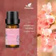 Эфирное масло Kinscoter Essential Oil Set 4 bottles, 4*10 мл