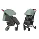 Прогулочная коляска CARRELLO Gloria CRL-8506 Mint Green ментоловый
