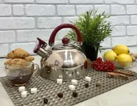 Чайник со свистком Edenberg EB-3552-Burgundy 2.5 л бордовый