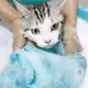 Мешок-сетка для купания и груминга животных 11096 35х50х16 см голубой