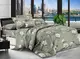 Комплект постельного белья BR-029 TAG polycotton sem-687