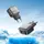 Адаптер сетевой Borofone Absolute single-port charger BAS52A |1USB, 18W/3A, QC3.0|