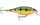 Воблер RAPALA Shallow Shad Rap SSR07 P