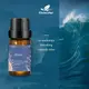 Эфирное масло Kinscoter Essential Oil Set 6 bottles, 6*10 мл