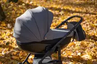 Дитяча коляска 2 в 1 Angelina Discovery Evolution світло-сірий DE-19