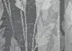 Тюль (2х2,7м.) жаккард с вышивкой, цвет белый. Код 1456т 42-0482