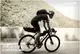 Велосумка на раму Rhinowalk Bike Phone 1.2л RK18330 Black