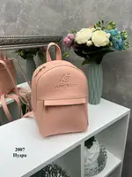 Пудра – стильный, молодежный и миниатюрный рюкзак Lady Bags на молнии, с подкладкой (2007)