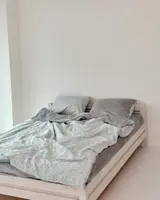 Постельное белье семейное Dushka Home Сатин Плюш 21274 160х215х2 см