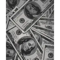 Картина по номерам "Money" 40х50 см