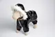 Костюм с капюшоном 601010 Zoobaza – черный, 25 х 34
