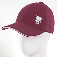 Бейсболка BSH19794 бордо
